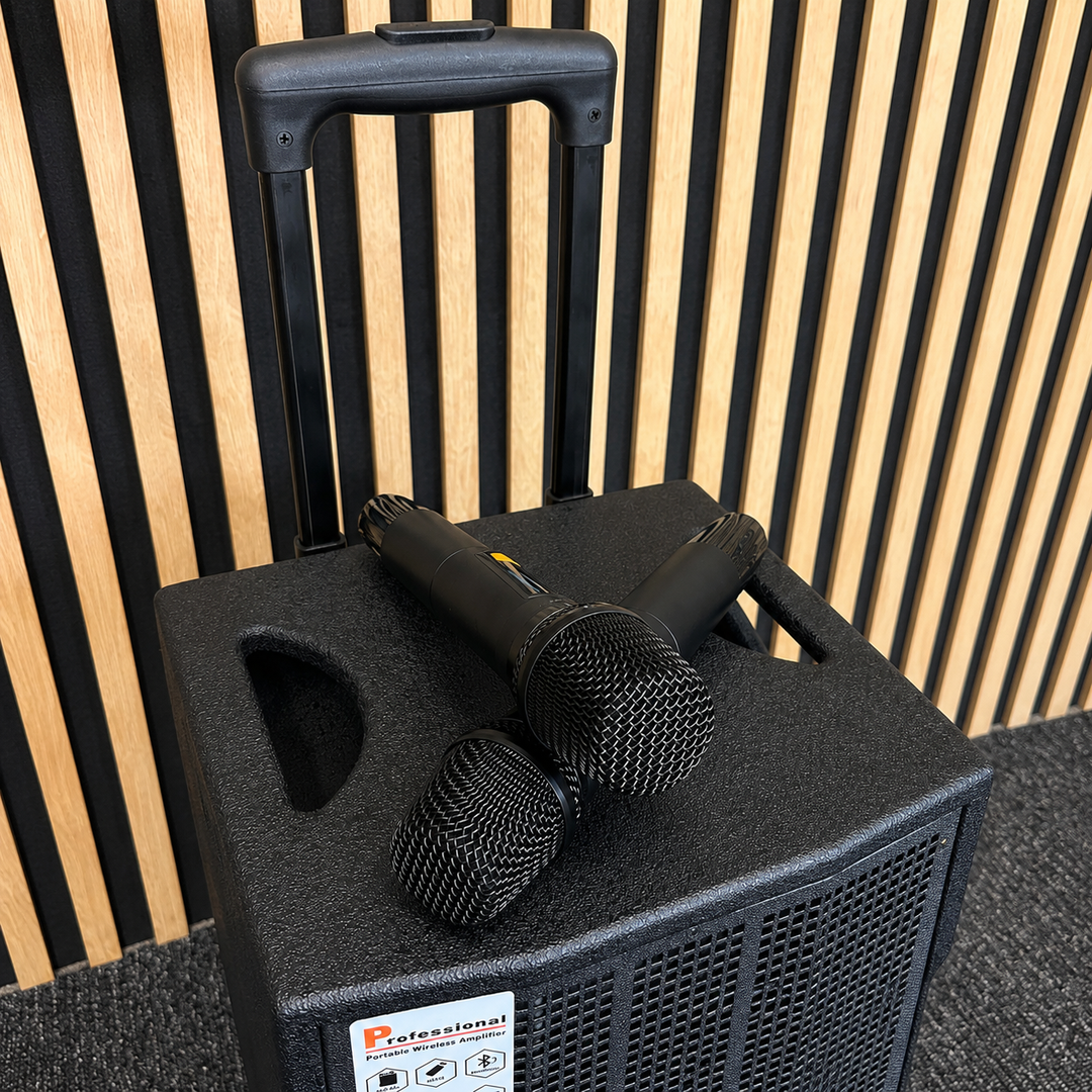 Audioport V8 transportabel aktiv högtalare 250 W med 2 mikrofoner