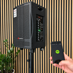 Audioport V8 transportabel aktiv högtalare 250 W med 2 mikrofoner