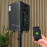 Audioport V8 transportabel aktiv högtalare 250 W med 2 mikrofoner