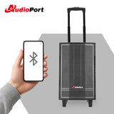 Audioport V8 transportabel aktiv högtalare 250 W med 2 mikrofoner
