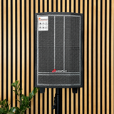 Audioport V8 transportabel aktiv högtalare 250 W med 2 mikrofoner