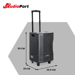 Audioport V8 transportabel aktiv högtalare 250 W med 2 mikrofoner