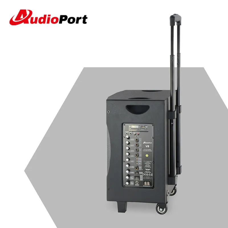 Audioport V8 transportabel aktiv högtalare 250 W med 2 mikrofoner