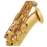 V-TONE TS 100 tenorsaxofon med cover-sæt