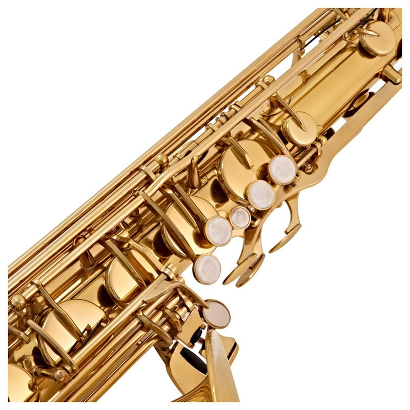 V-TONE TS 100 tenorsaxofon med cover-sæt