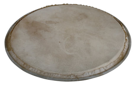 Latin Percussion Percussion skinn Plenera - 12" (WB505C)