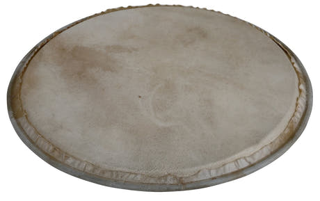Latin Percussion Percussion skinn Plenera - 8" (WB505A)