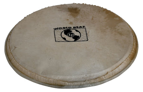 Latin Percussion Percussion-skinn Plenera - 10" (WB505B)