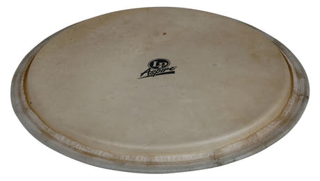 Latin Percussion Djembe-skinn Aspire - 12,5" getskinn (LPA630A)