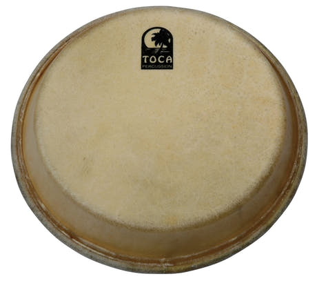 Toca Percussion trumskinn Traditional Series Conga & Bongo - 12 1/2" conga (TP-39012-1/2)