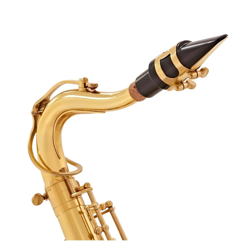 V-TONE TS 100 tenorsaxofon med cover-sæt