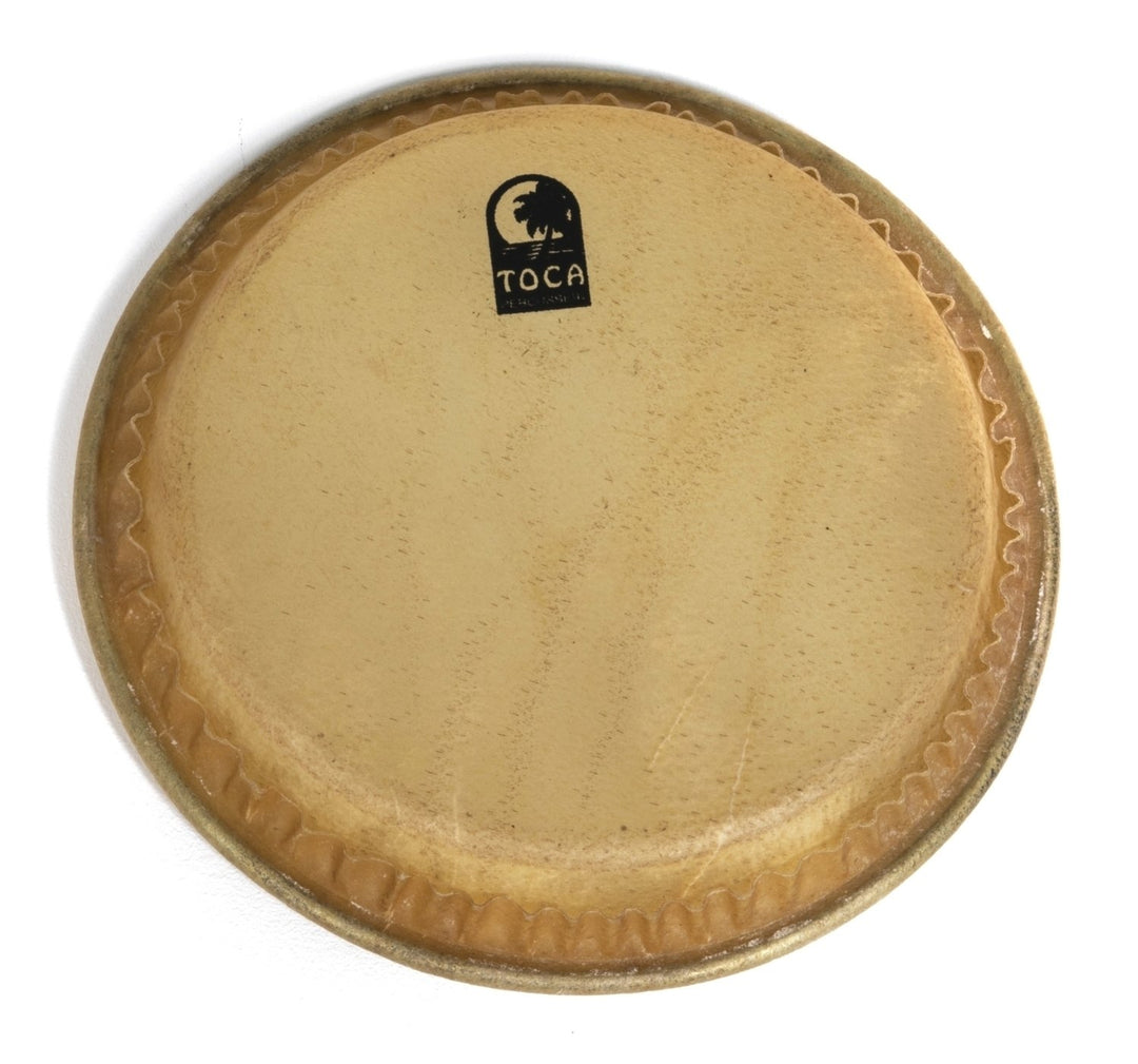 Toca Percussion trumskinn Batá Drums - 8,5" Large Omele (TP-33009)