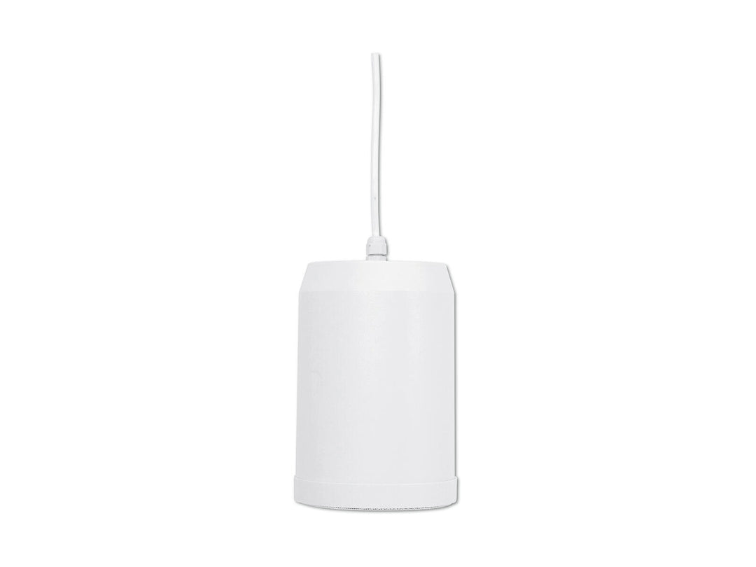 OMNITRONIC WP-10W Takhögtalare