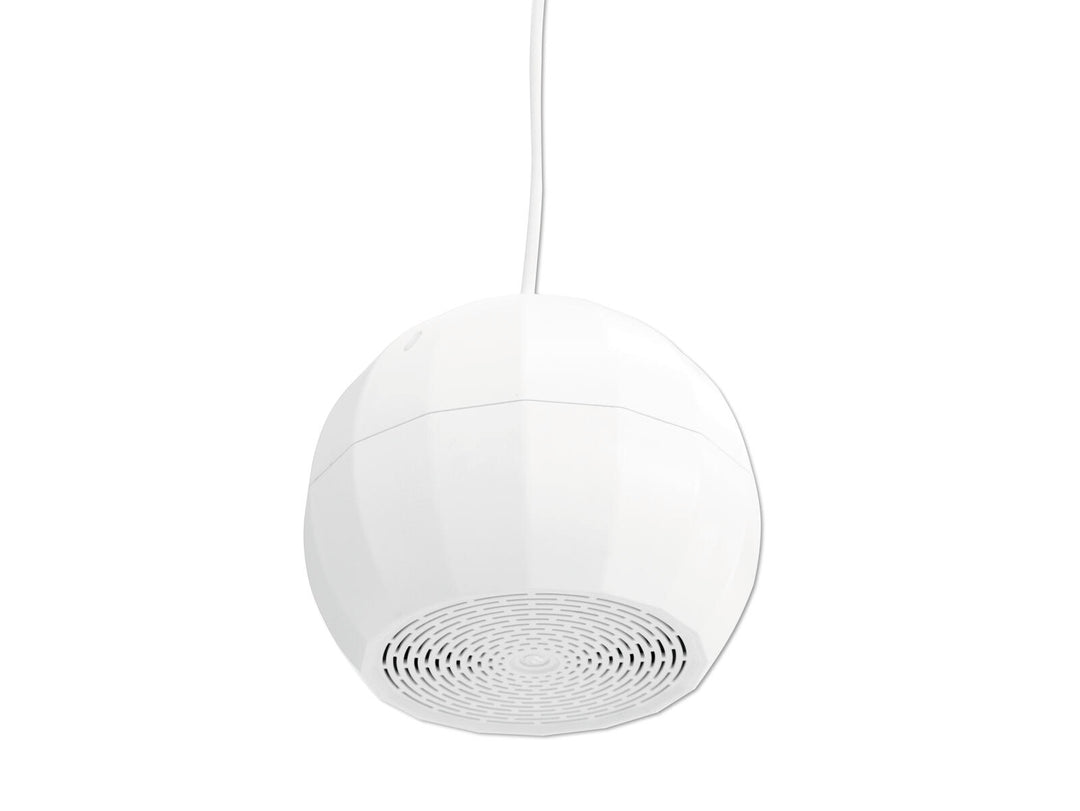 OMNITRONIC WP-2H Takhögtalare