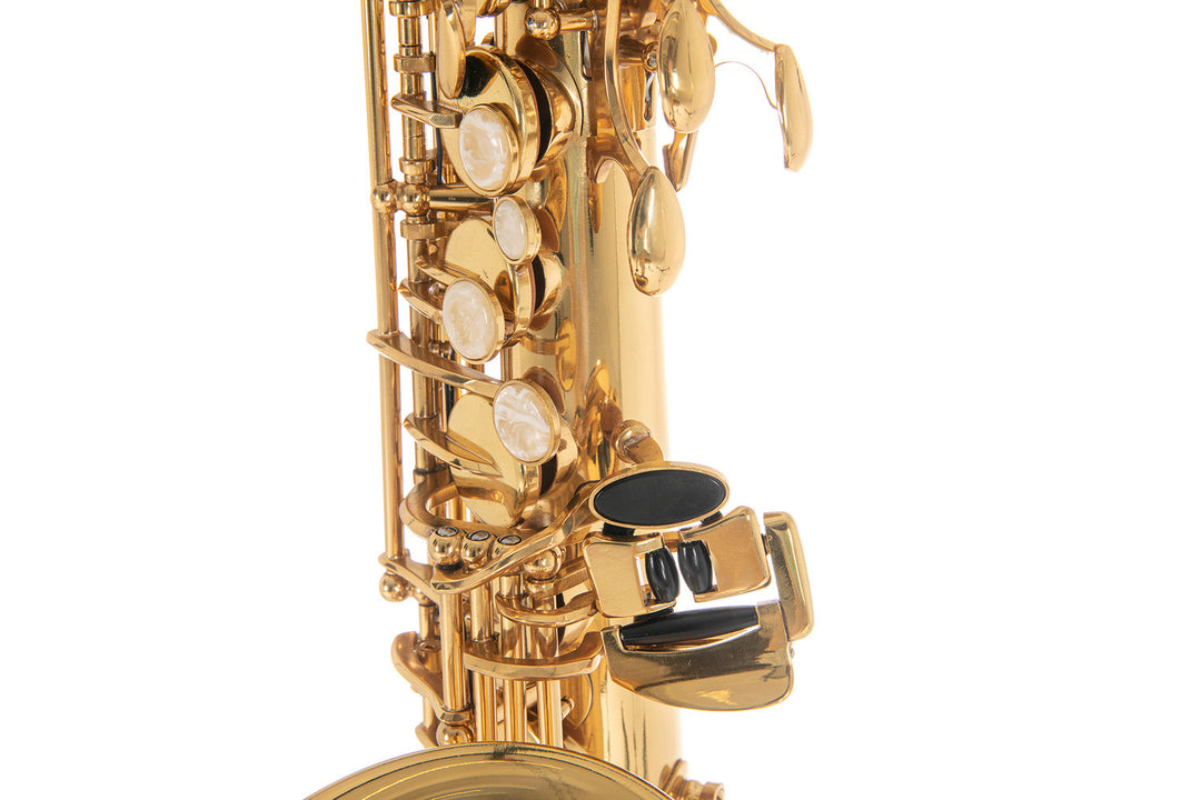 Roy Benson Eb-altsaxofon Roy Benson AS-202 - AS-202