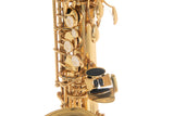 Roy Benson Eb-altsaxofon Roy Benson AS-202 - AS-202