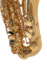 Roy Benson Eb-altsaxofon Roy Benson AS-202 - AS-202
