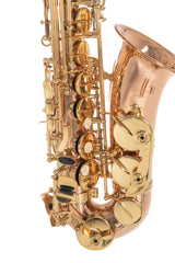 Roy Benson Eb-altsaxofon Roy Benson AS202G - AS-202G