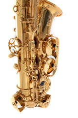 Roy Benson Eb-altsaxofon Roy Benson AS-302 - AS-302