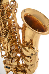 Roy Benson Eb-altsaxofon Roy Benson AS-302 - AS-302