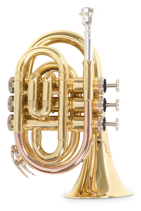 Roy Benson Bb-ficktrumpet Roy Benson PT-101 - PT-101