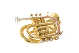 Roy Benson Bb-ficktrumpet Roy Benson PT-101 - PT-101
