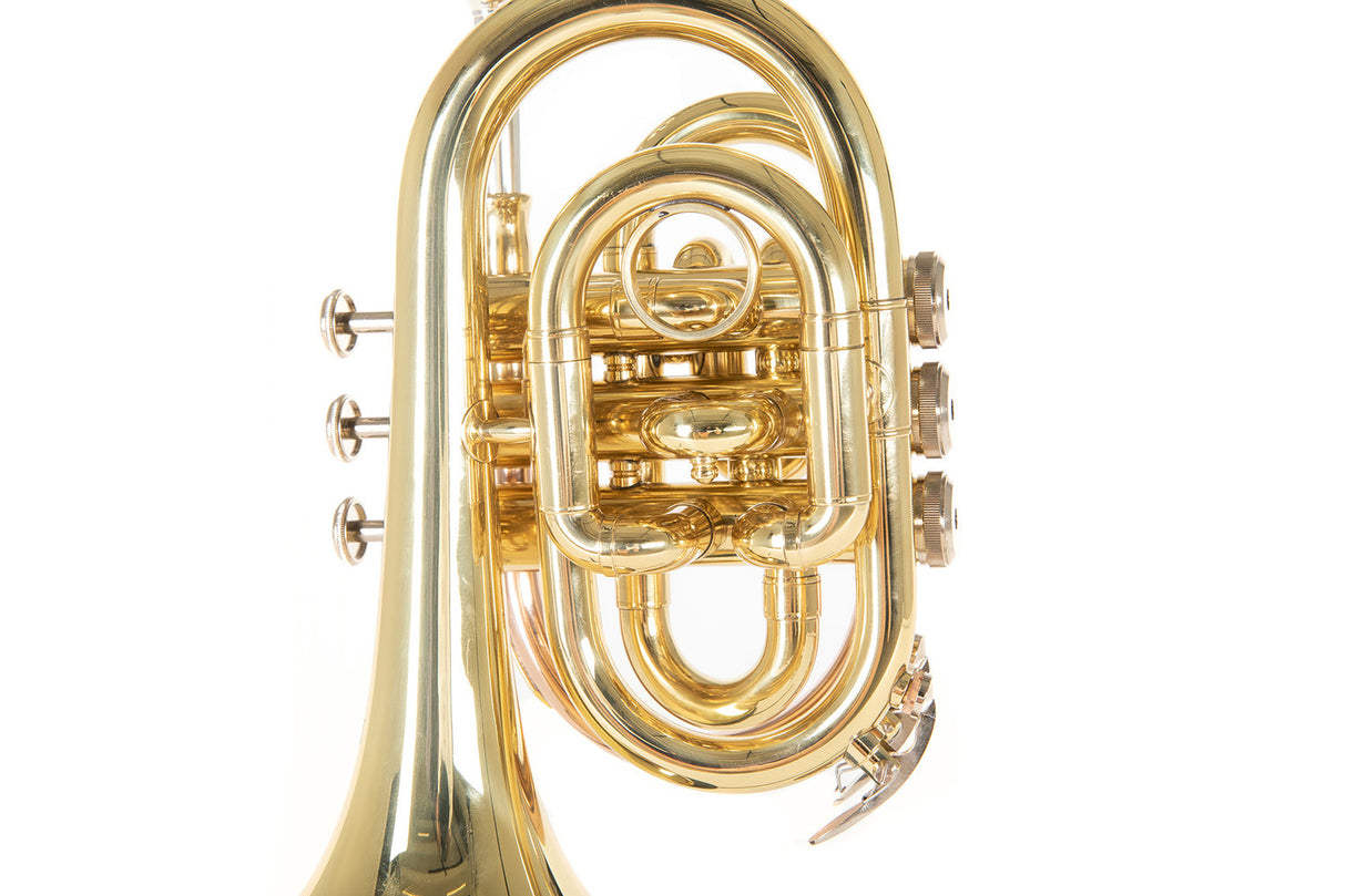 Roy Benson Bb-ficktrumpet Roy Benson PT-101 - PT-101