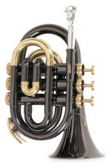 Roy Benson Bb-ficktrumpet Roy Benson PT-101K - PT-101K