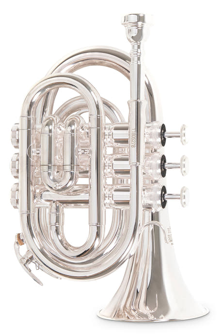 Roy Benson Bb-ficktrumpet Roy Benson PT-101S - PT-101S