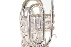 Roy Benson Bb-ficktrumpet Roy Benson PT-101S - PT-101S