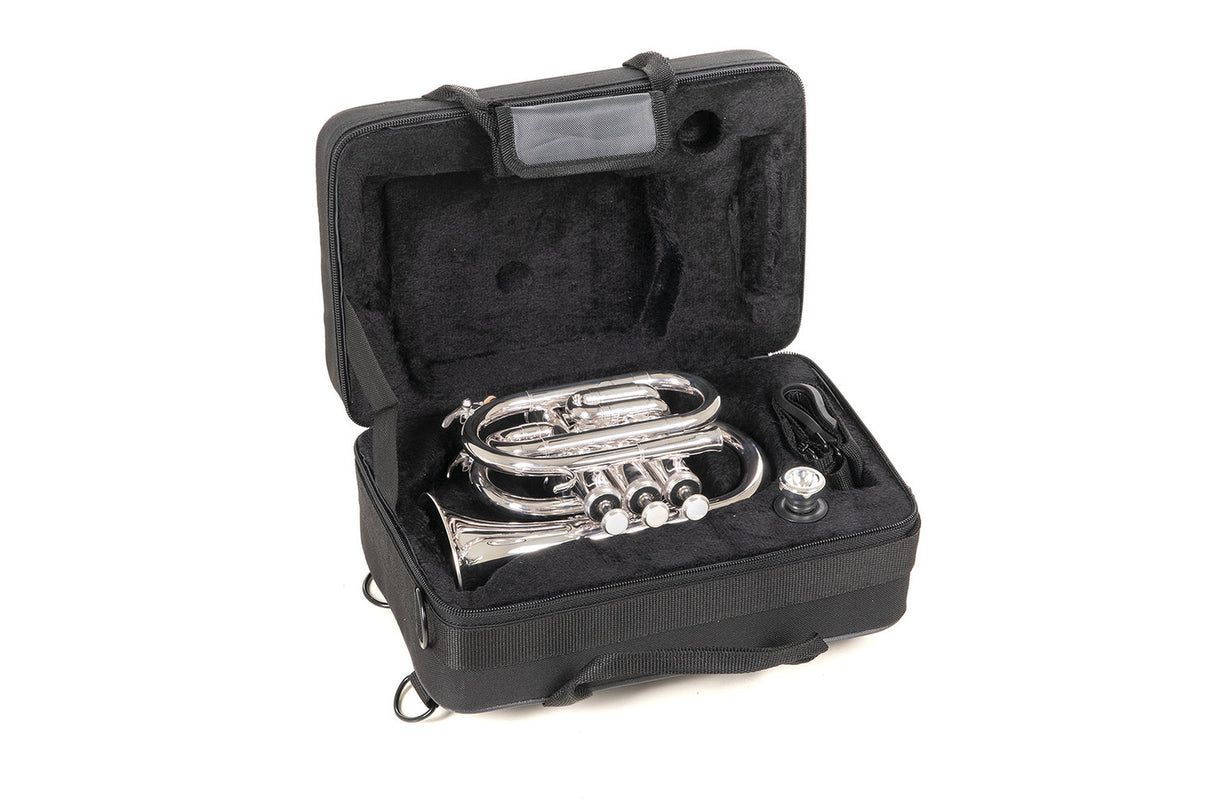 Roy Benson Bb-ficktrumpet Roy Benson PT-101S - PT-101S