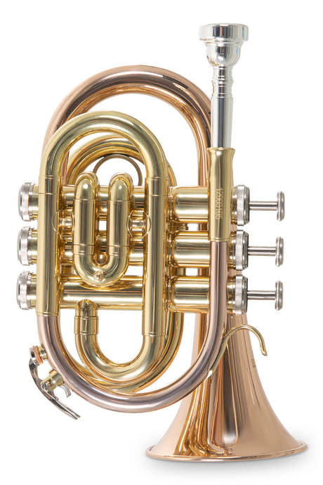 Roy Benson Bb-ficktrumpet Roy Benson PT-101G - PT-101G