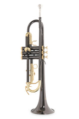 Roy Benson Bb-trumpet Roy Benson TR-101K - TR-101K
