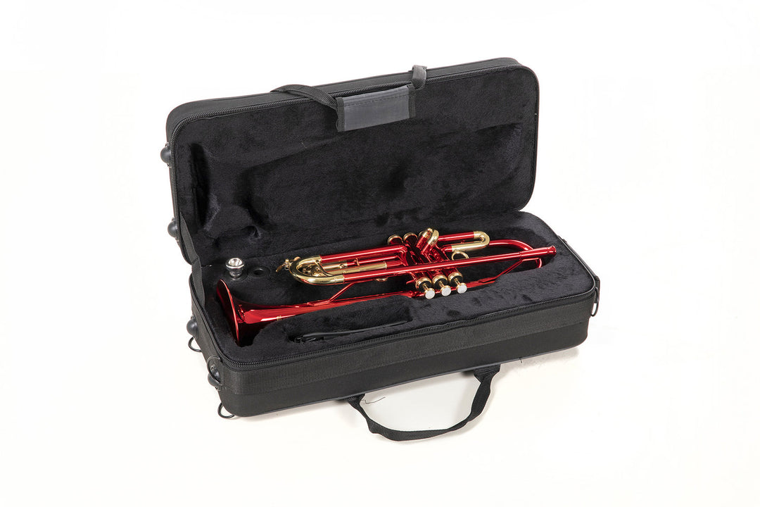 Roy Benson Bb-trumpet Roy Benson TR-101R - TR-101R