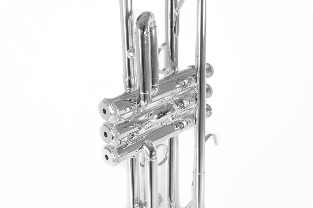 Roy Benson Bb-trumpet Roy Benson TR-202S - TR-202S