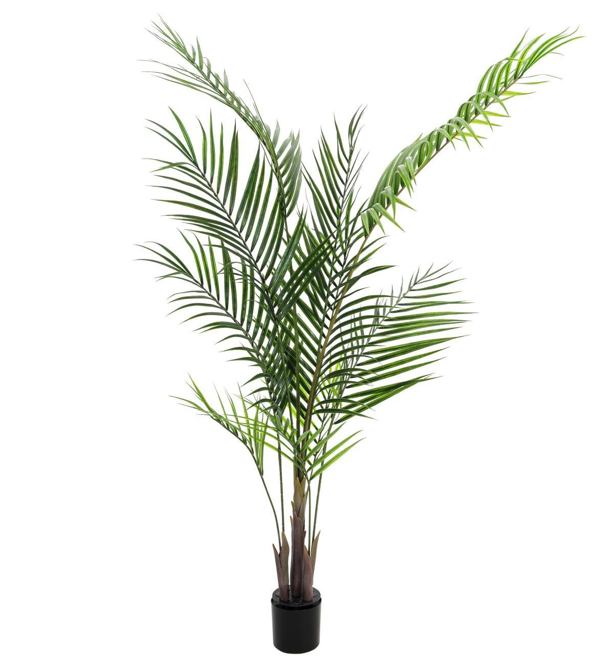 Konstgjord Arecapalm med stora blad (165cm)