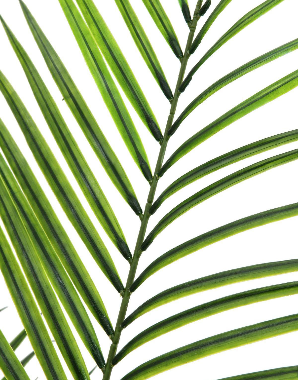 Konstgjord Arecapalm med stora blad (165cm)