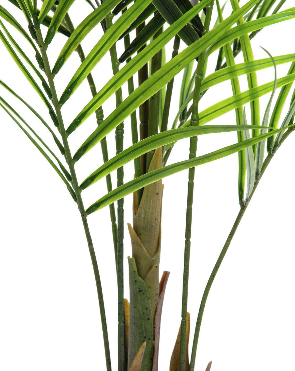 Konstgjord Arecapalm med stora blad (165cm)