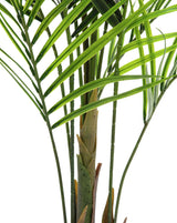Konstgjord Arecapalm med stora blad (165cm)