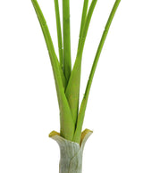 Konstgjord Arecapalm med stora blad (180cm)