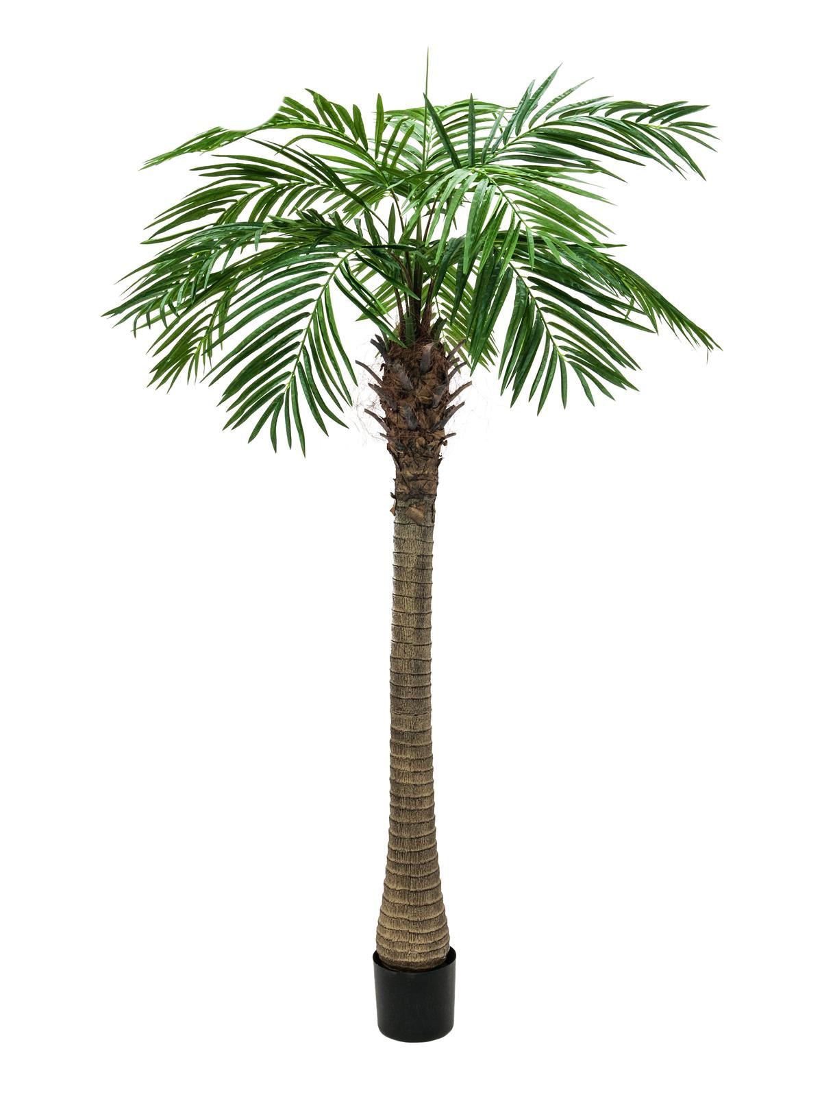 Artificiell Phoenix Palm Tree Luxor (240 cm)