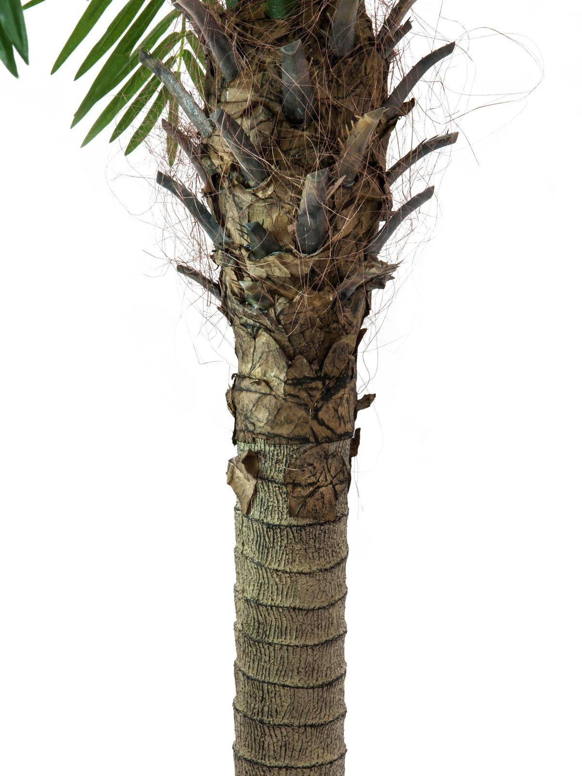 Artificiell Phoenix Palm Tree Luxor (300 cm)