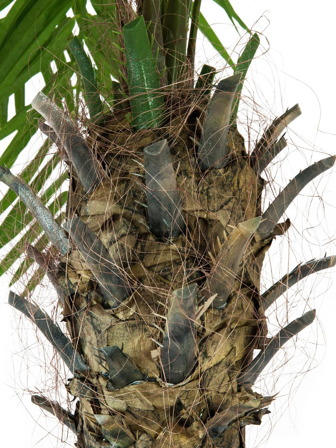Artificiell Phoenix Palm Tree Luxor (300 cm)