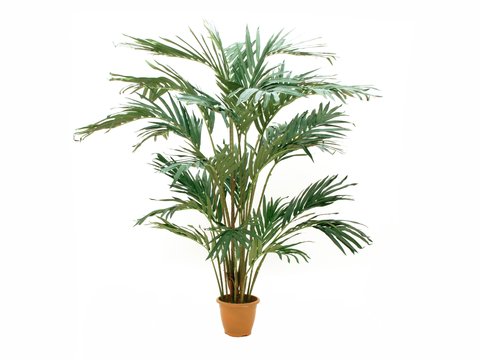 Konstgjord kanarisk dadelpalm, 240cm