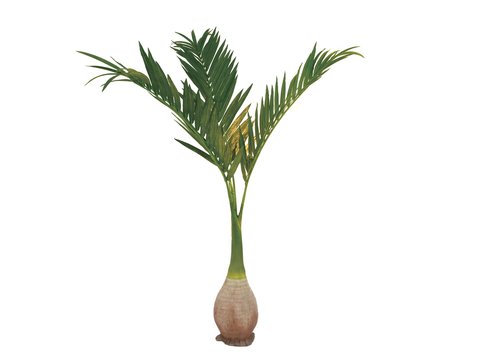 Artificiell Phoenix palm 240 cm