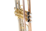 Roy Benson Bb-trumpet Roy Benson TR-202G - TR-202G