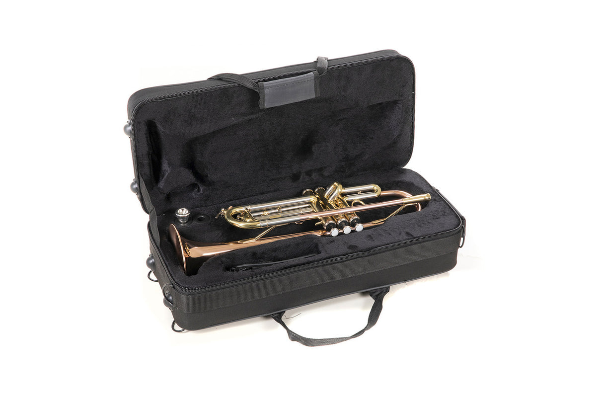 Roy Benson Bb-trumpet Roy Benson TR-202G - TR-202G