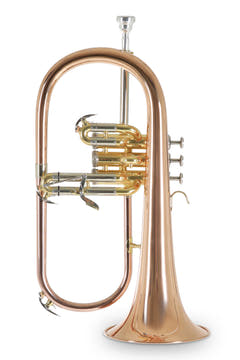 Roy Benson Bb-flygelhorn Roy Benson FH-302G - FH-302G