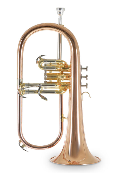 Roy Benson Bb-flygelhorn Roy Benson FH-302G - FH-302G