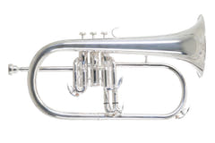 Roy Benson Bb-flygelhorn Roy Benson FH-302S - FH-302S